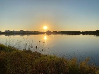 S'Albufera Natural Park