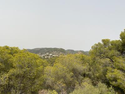 Mallorca image