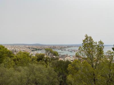 Palma