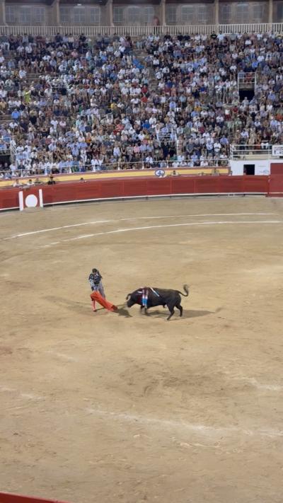 Mallorca image