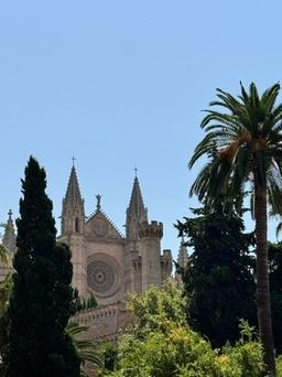 Palma