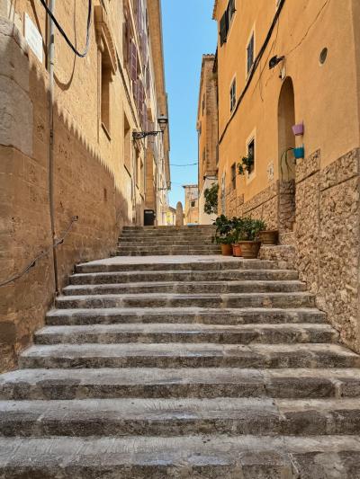 Palma