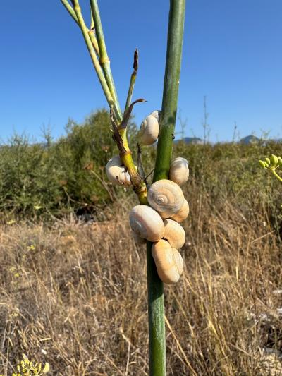 S'Albufera Natural Park