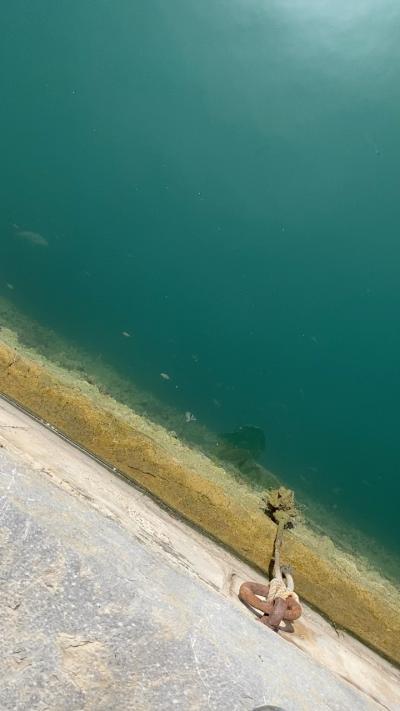 Mallorca image
