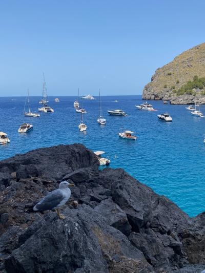 Sa Calobra