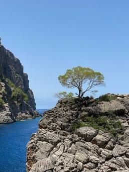 Sa Calobra