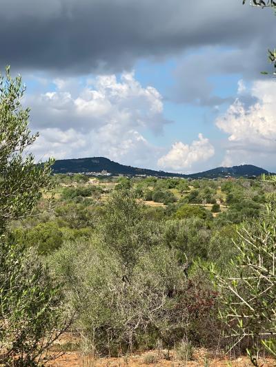 Sant Llorenç des Cardassar