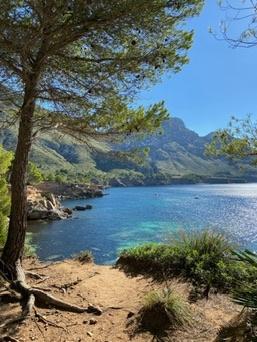 Colònia de Sant Pere