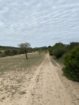 Parc Natural de Mondragó
