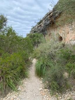 Cales de Mallorca
