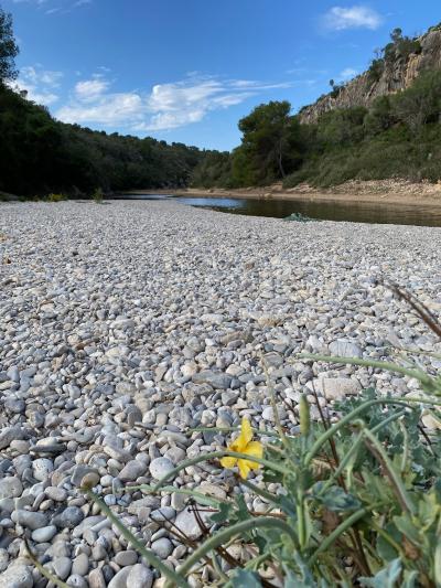 Cales de Mallorca