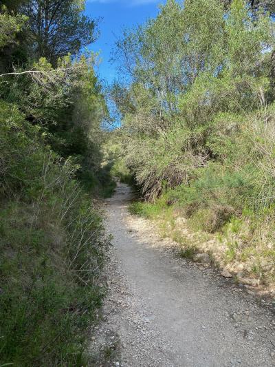 Parc Natural de la Península de Llevant