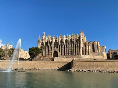 Palma
