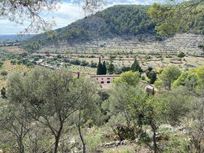 Valldemossa