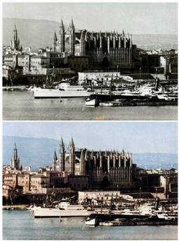Palma