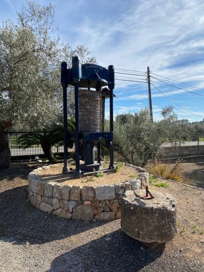 Santa Maria del Camí