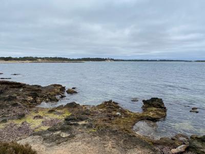 Colònia de Sant Jordi